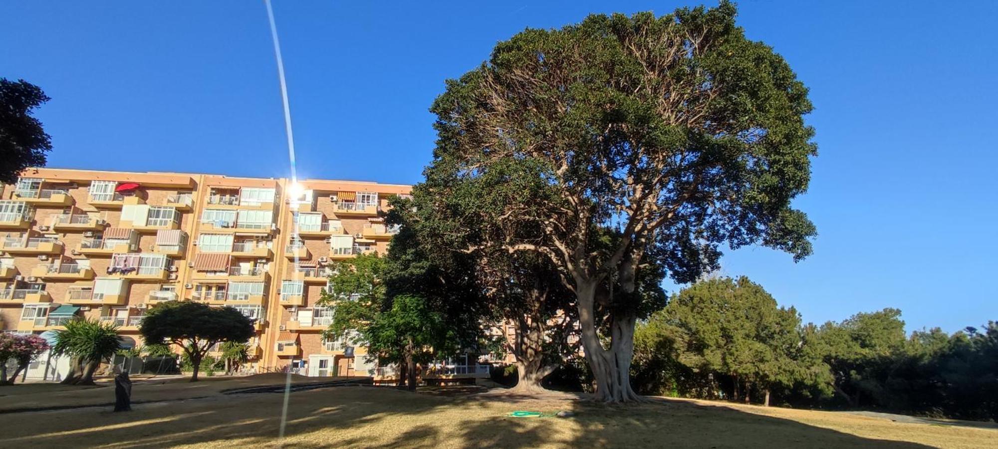 Apartamento Aguila, Arroyo De La Miel, Benalmádena Exterior foto